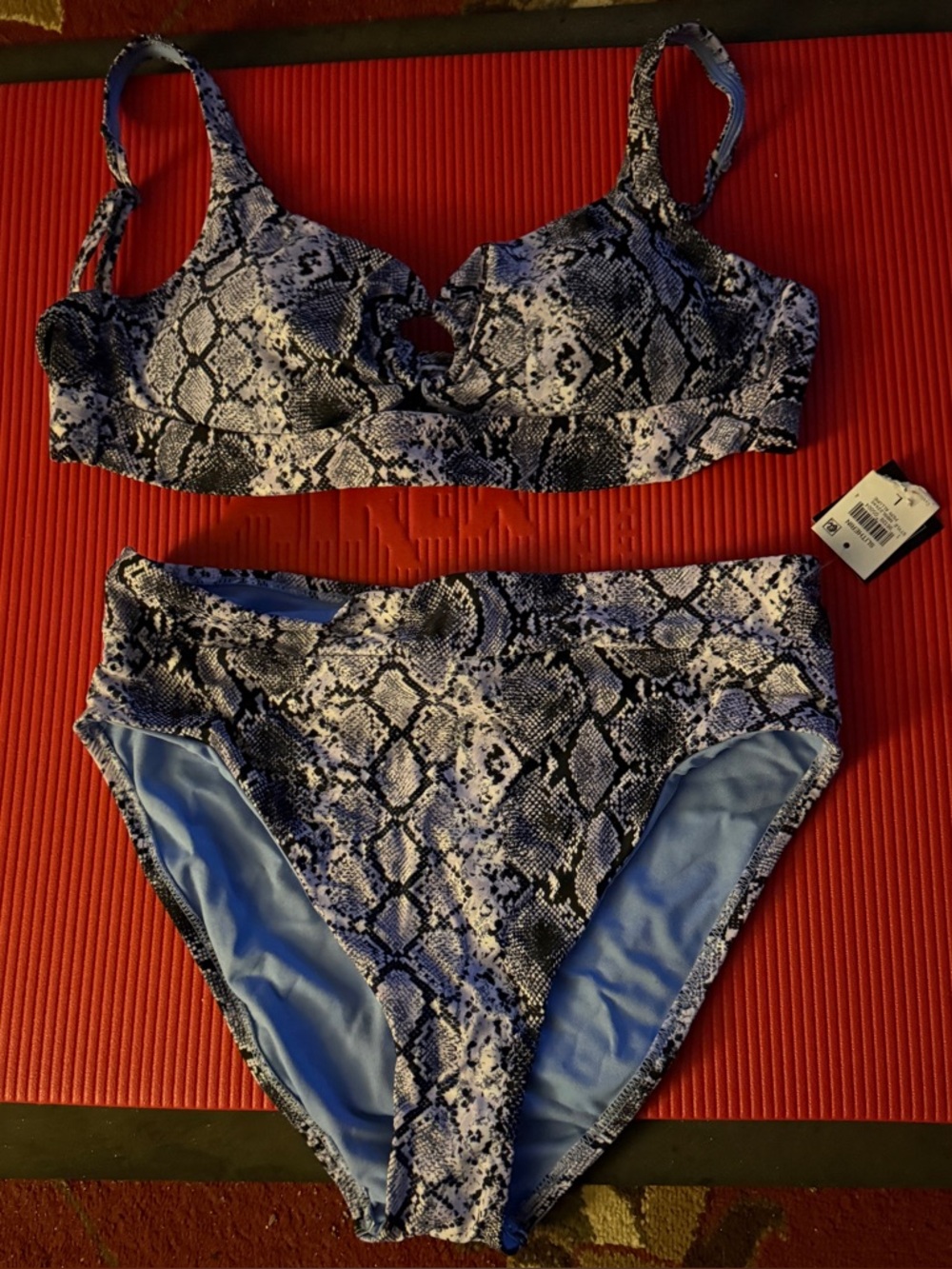 Bar III Blue and Black Snake Print Bikini Set